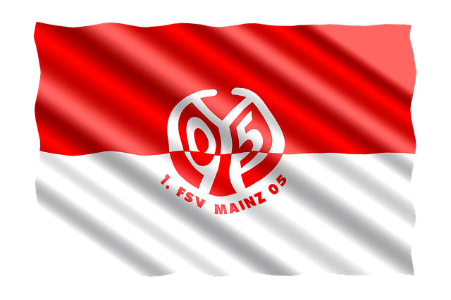 1. FSV Mainz 05